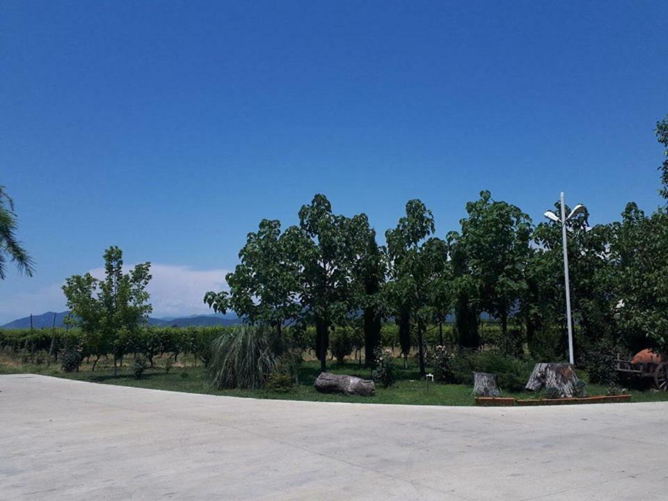 Shaloshvili'S Cellar Hotel Shilda Exterior foto